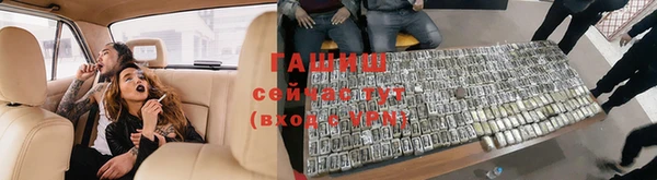 сатива Белокуриха