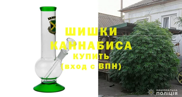 сатива Белокуриха